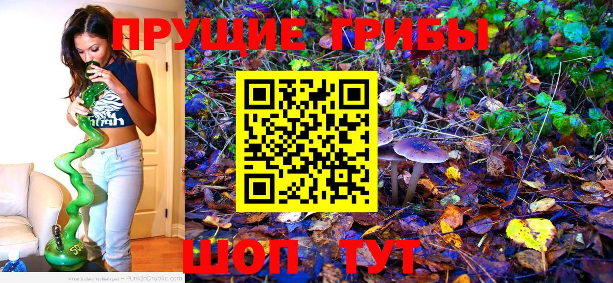 Галлюциногенные грибы Cubensis  Вход с VPN  наркота  Усть-Илимск  Галлюциногенные грибы мухоморы 